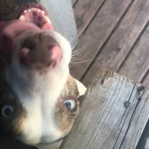 Meet your Posher, Brittany